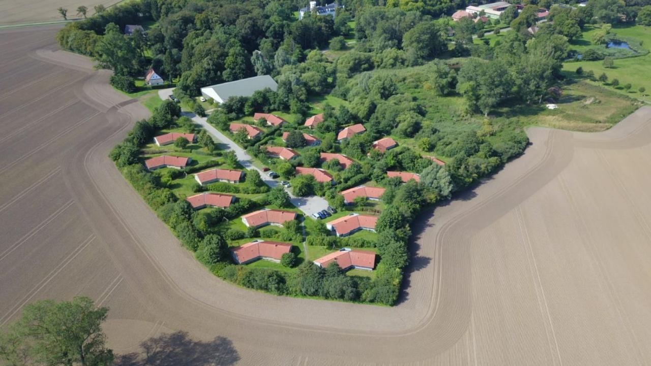 Kranich Ferienhaeuser Mit Innenpool Hohendorf  Dış mekan fotoğraf